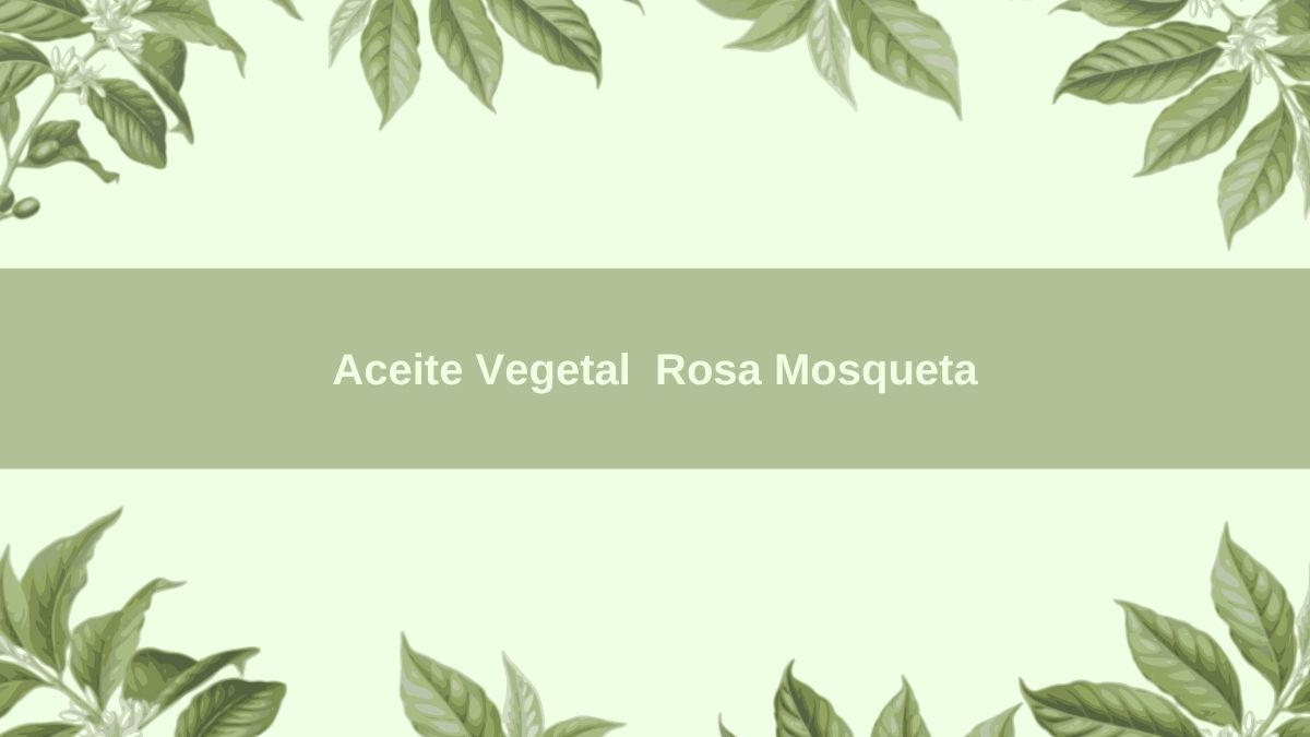 Aceite Vegetal BIO Rosa Mosqueta