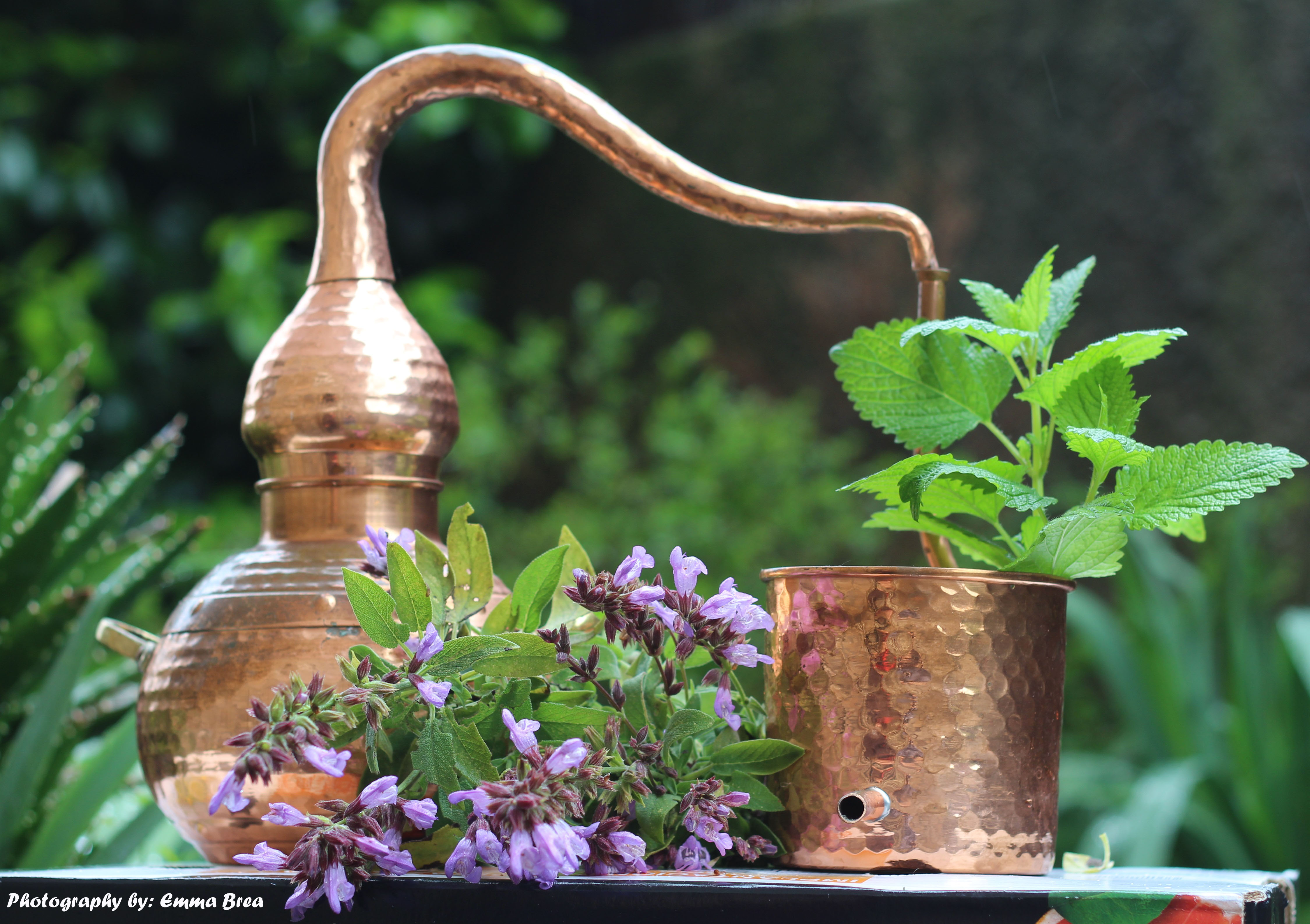 alambique-aceite-esencial-geacosmetics