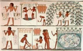 geacosemtics-faraones-comino-negro