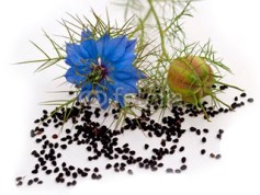 geacosmetics-planta-comino-negro