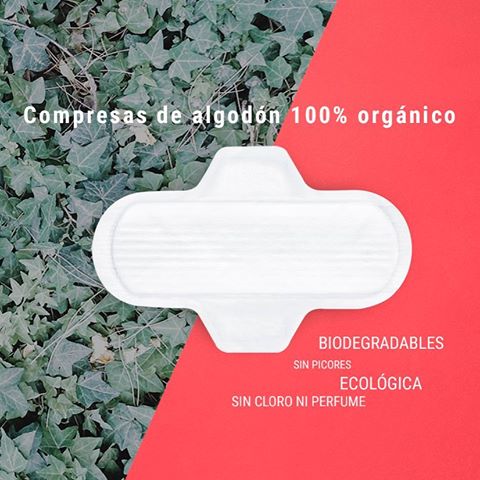 20394032_484039855284054_4160465859640295424_n