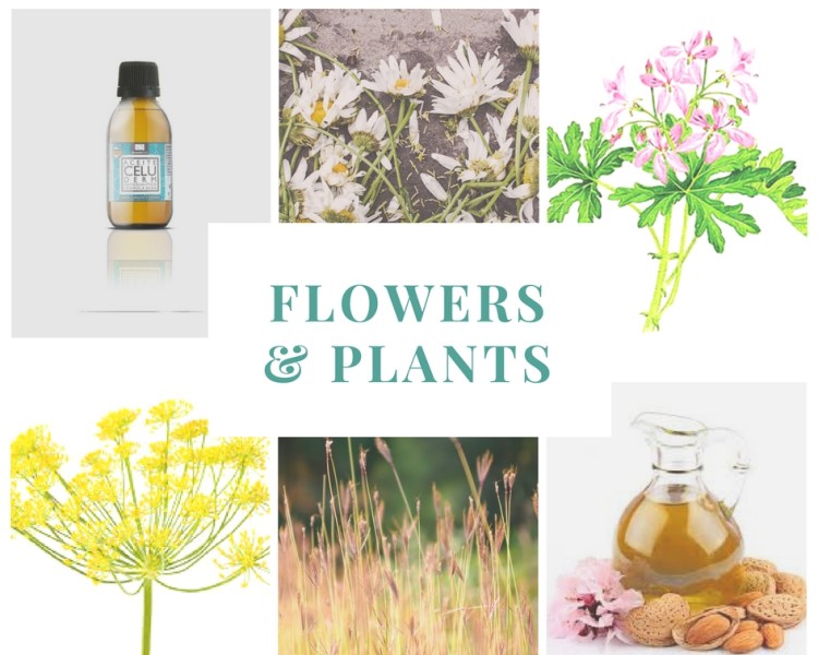 aceite-anticelulitico-terpenic