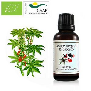 aceite-de-ricino-pestañas
