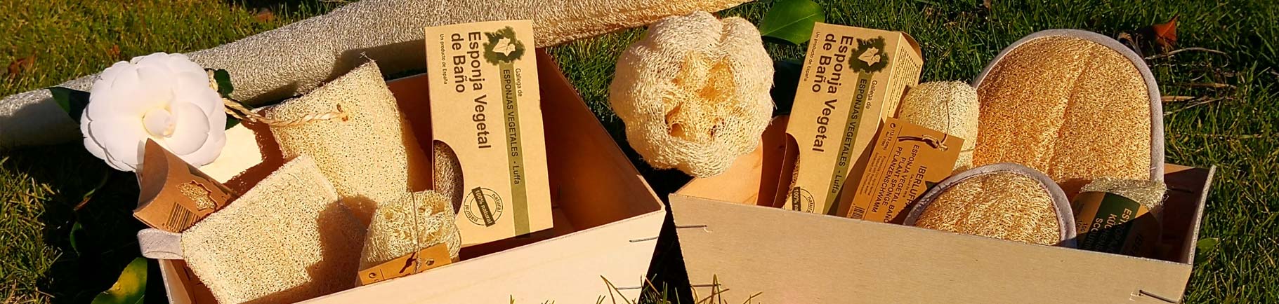 esponjas naturales - lufas